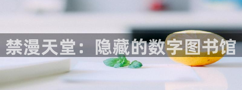 age专注动漫的门户网站：禁漫天堂：隐藏的数字图书馆