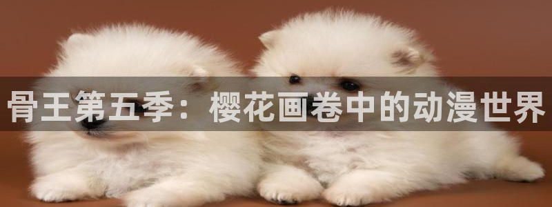 虫虫漫画下载：骨王第五季：樱花画卷中的动漫世界