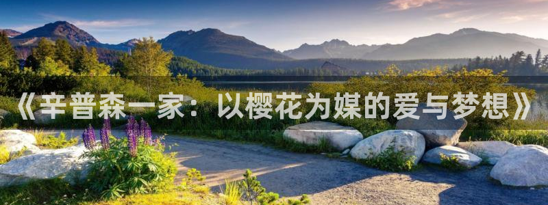 韩国漫画平台kakaopage：《辛普森一家：以樱花为媒的爱与梦想》