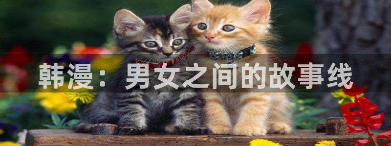 虫虫漫画下载动漫全免费：韩漫：男女之间的故事线