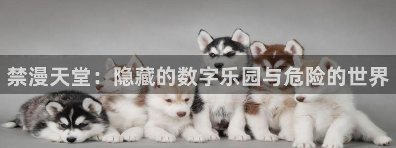 虫虫漫画：禁漫天堂：隐藏的数字乐园与危险的世界