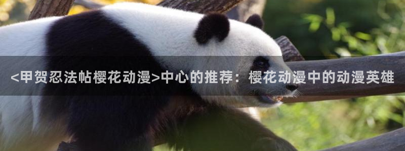 managereader漫画官网入口：<甲贺忍法帖樱花动漫>中心的推荐：樱花动漫中的动漫英雄