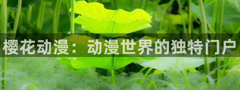 volcanicage漫画：樱花动漫：动漫世界的独特门户