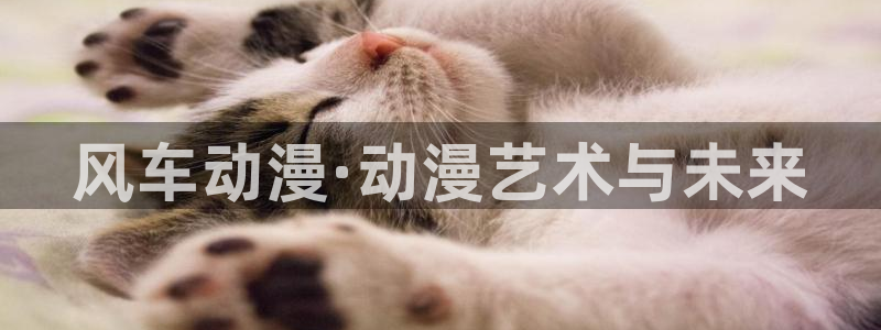 虫虫漫画官网入口老版本：风车动漫·动漫艺术与未来