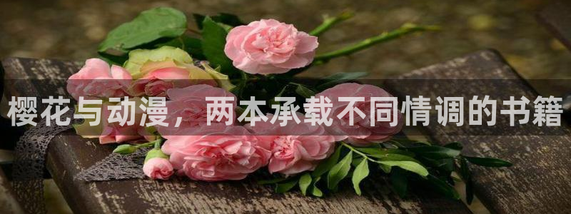 colamanage漫画官网：樱花与动漫，两本承载不同情调的书籍