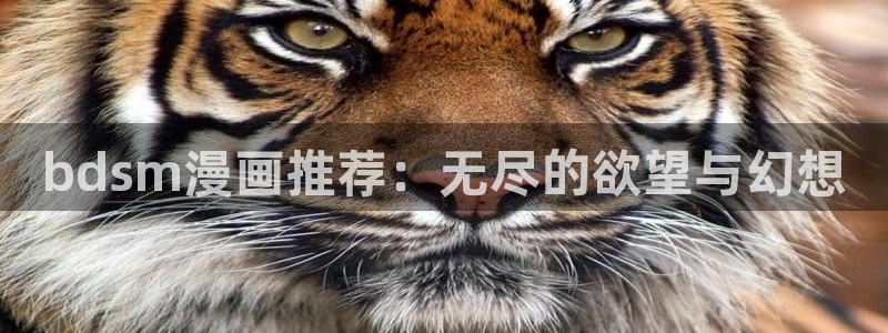 虫虫漫画正版网：bdsm漫画推荐：无尽的欲望与幻想