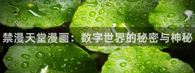 虫虫漫画下载：禁漫天堂漫画：数字世界的秘密与神秘