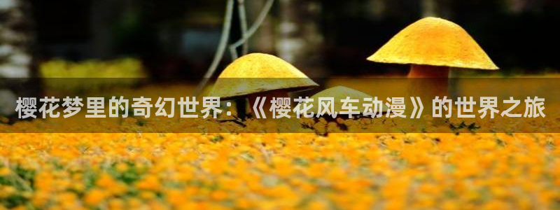 下载虫虫漫画：樱花梦里的奇幻世界：《樱花风车动漫》的世界之旅