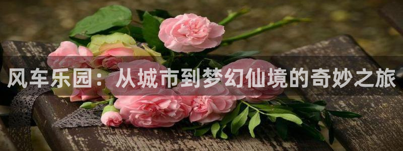 colamanage漫画：风车乐园：从城市到梦幻仙境的奇妙之旅