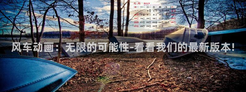 虫虫漫画下载入口：风车动画：无限的可能性-看看我们的最新版本!