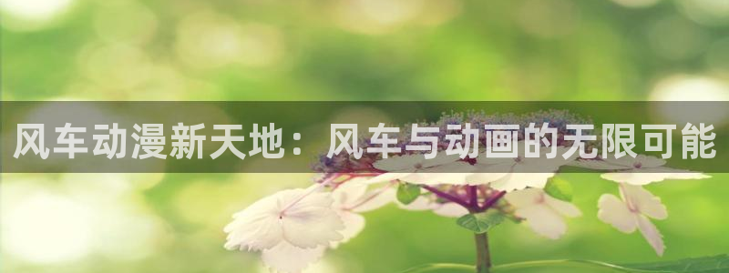 虫虫漫画正版网：风车动漫新天地：风车与动画的无限可能