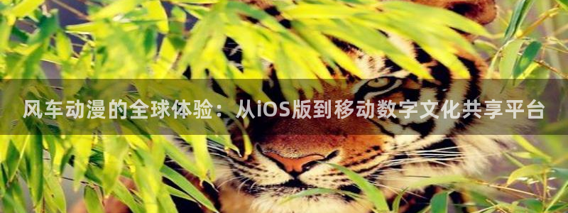 managereader漫画官网入口：风车动漫的全球体验：从iOS版到移动数字文化共享平台