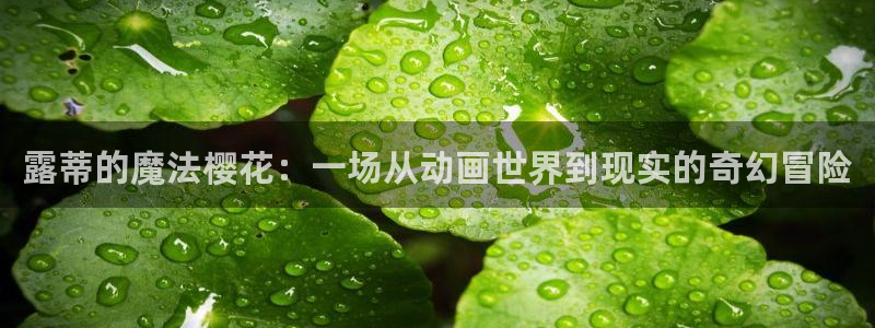 age樱花动漫