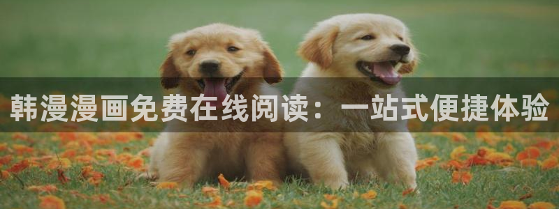 虫虫漫画官网版入口