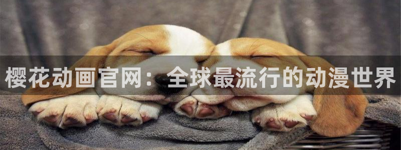 虫虫漫画专注动漫的门户网站：樱花动画官网：全球最流行的动漫世界