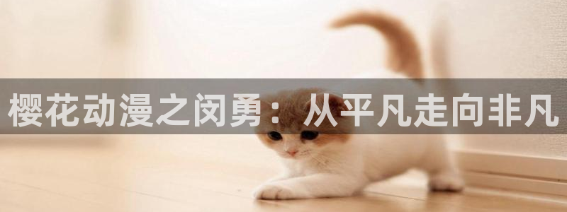 managereader漫画官网入口：樱花动漫之闵勇：从平凡走向非凡